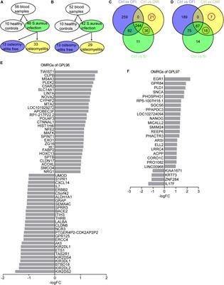 NF-κB/TWIST1 Mediates Migration and Phagocytosis of Macrophages in the Mice Model of Implant-Associated Staphylococcus aureus Osteomyelitis